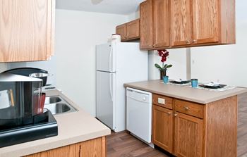 Ample Kitchen Counter-Top & Cabinet Space